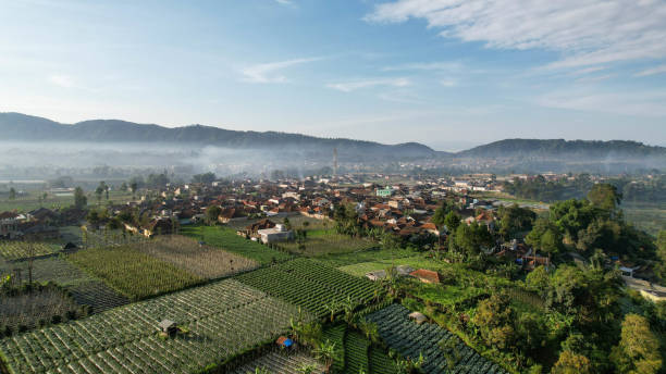 Pemkab Bandung Barat Fokus Kembangkan Pertanian Berbasis Teknologi untuk Tingkatkan Produktivitas Pe
