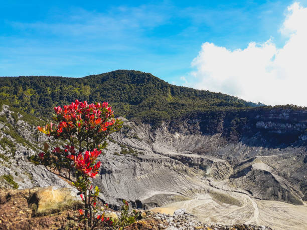 Pesona Wisata Tangkuban Perahu, Wajib Masuk Bucket List!