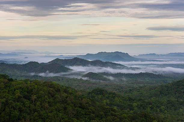 Bukit Senyum Lembang: Wisata Baru Unggulan Bandung Barat dengan Panorama Negeri di Atas Awan